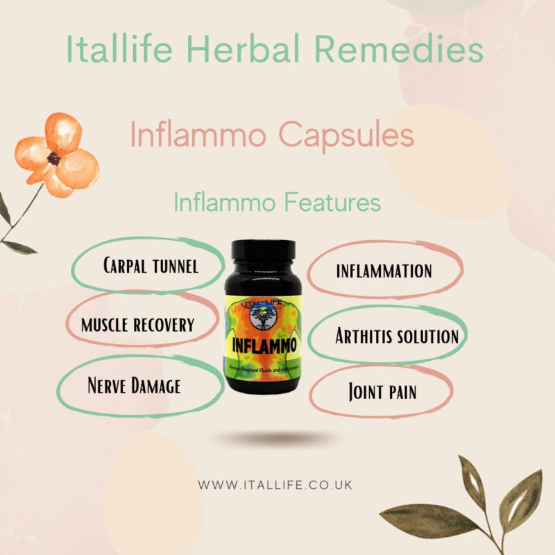 Inflammo Capsule Supplement V.Caps - Anti Inflammatory - Image 3
