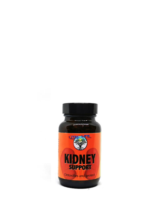 Kidney support supplement