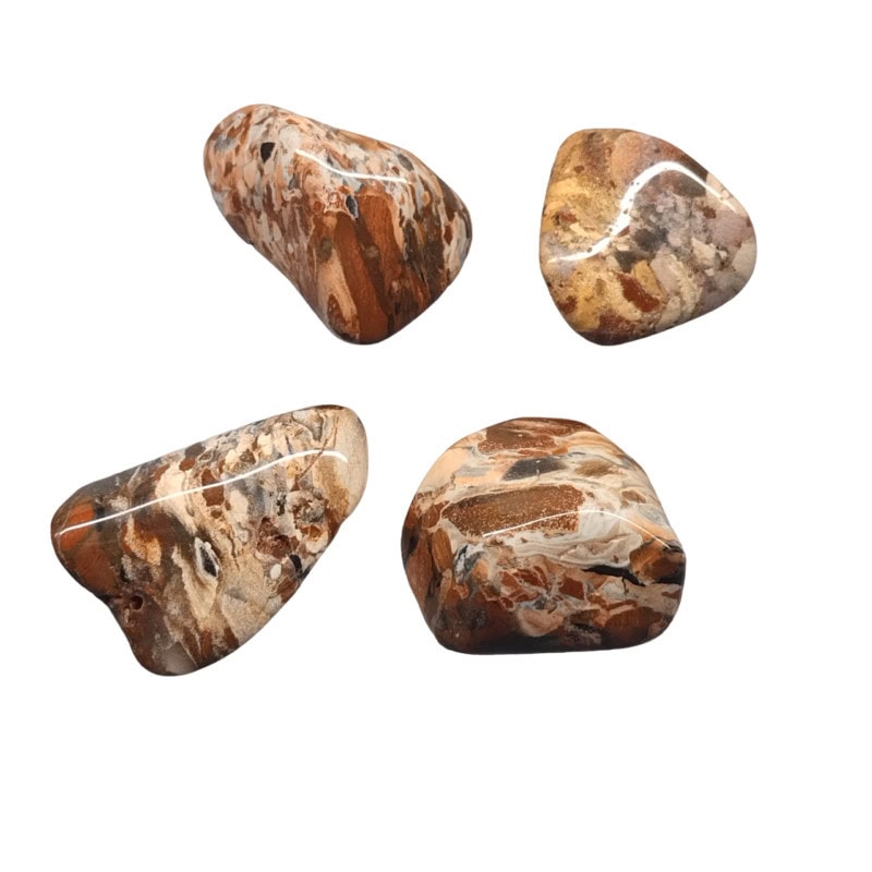 Cappuccino Jasper Large