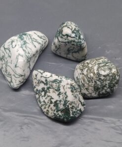 Tree Agate X-Large 25-35mm